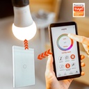 interruptor-wifi-sencillo-tuya-smart.jpg